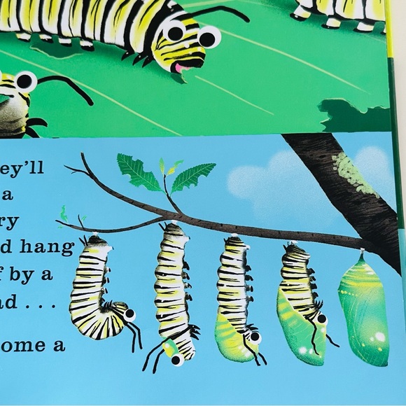 uncover & discover What Will I Be? Baby Board Book - Picture 2 of 15